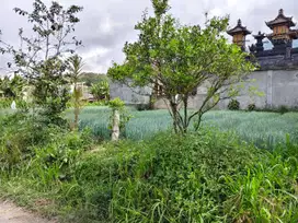 Dijual Tanah Kosong Di Tabanan Bali