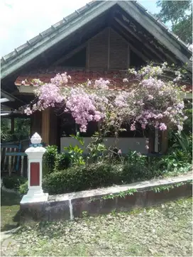 Villa Murah Tanah Luas di Pasir Jambu Ciwidey Bandung