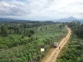 Tanah kebun murah dengan view menawan