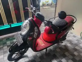 Scoopy plat ad 2014 solo