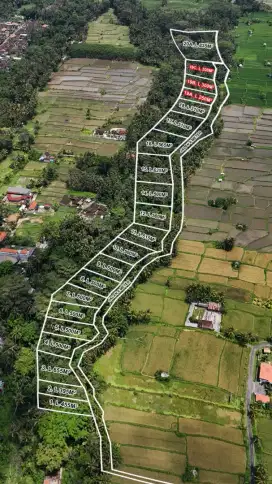 Dijual Tanah Kavlingan Lingkungan Villa Pejeng Ubud Gianyar