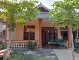 Kost putra/dikontrakkan keluarga