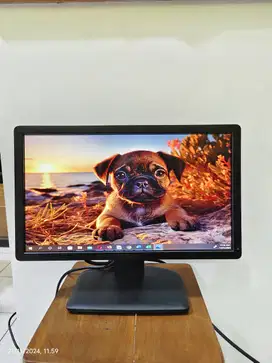 Monitor led wide 19 inch dell