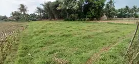 Dijual tanah SHM  1420m2 Ds Sindangjaya Cianjur