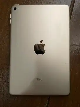 Ipad mini 4 wifi only