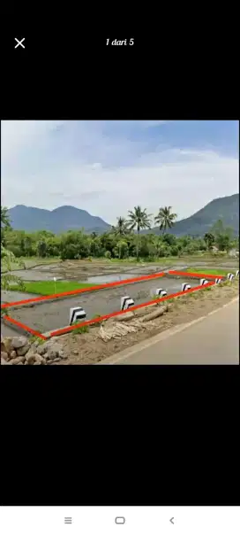 Tanah sawah akses jalur mobil