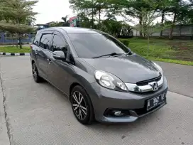 MOBILIO E 2014 MANUAL