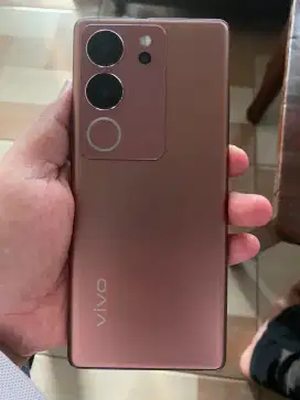 Vivo V29 5G layar lengkung