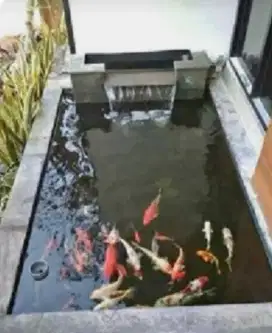 Kolam ikan dan filter