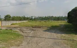 Dijual Tanah Luas Di jalan utama Jl. Kaliwungu, Kendal