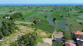 Dijual Tanah Kosong View Sawah dan Sungai di Bungkulan