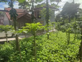 MURAH TANAH SHM DIPUNCLUT CIUMBULEUIT LEMBANG BANDUNG