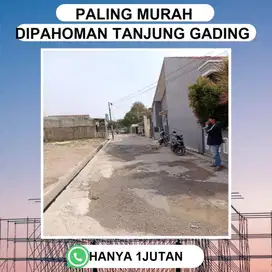 TANAH TANJUNG GADING PAHOMAN HARGA MURAH BISA DICICIL