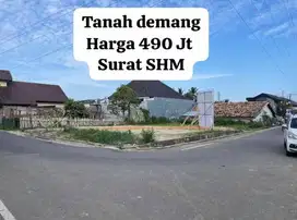 Tanah Demang Pinggir Jalan AS