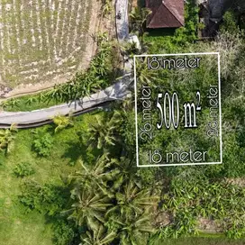 LAHAN KECIL LANGKA DI KAWASAN VILLA TEBONGKANG - UBUD, BALI