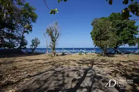 FREEHOLD COMMERCIAL BEACHFRONT LAND IN AMED