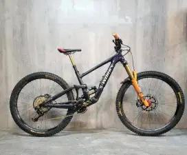 Specialized Expert S2