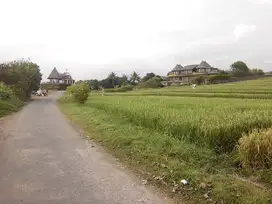 Land 5180 Sqm Beach Front In Tabanan