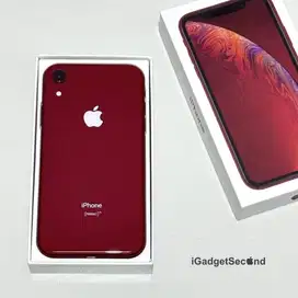 iPhone XR 64GB iBox - Resmi Lengkap