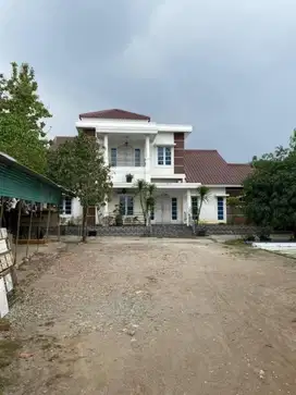 Rumah Dijual Di Serang Kota 1685 M² Ciruas Banten