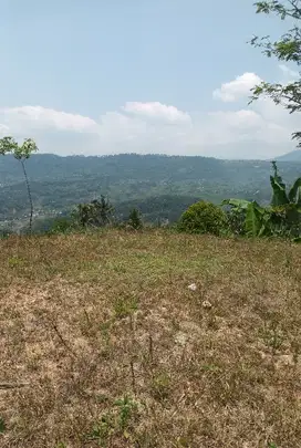 jual tanah sawah dn kebun view gunung