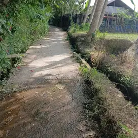 tanah BUC di ubud Payangan