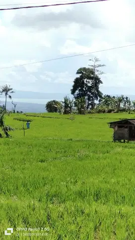 Tanah sawah View Pegunungan dan selat Sunda cocok untuk rumah villa