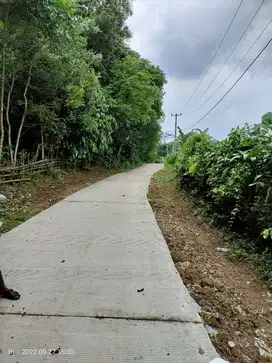 Tanah kebun Dijual di Serang cocok untuk kandang ayam 2 - 5 Ha