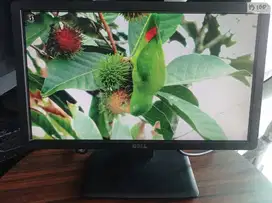 LED Monitor 19 DELL Bagus Ori