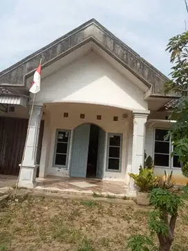 Jual cepat rumah tanah luas. di palembang. Maskarebet