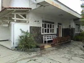 FOR RENT / DISEWAKAN RUMAH BESAR DI PUSAT KOTA PEKALONGAN