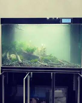 Aquarium Boyu Tombol Touchscreen Aquascape