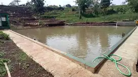 jual kolam ikan