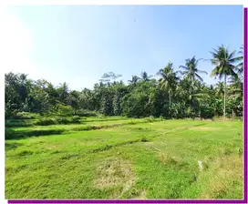 Tanah di Nanggulan Kulon Progo 100 Juta