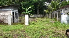 Dijual Tanah Invest Kaligetas Mijen