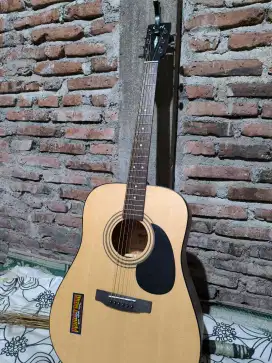 Gitar cort AD810 OP original