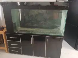 Aquarium kabinet 150cm, Jual Cepat