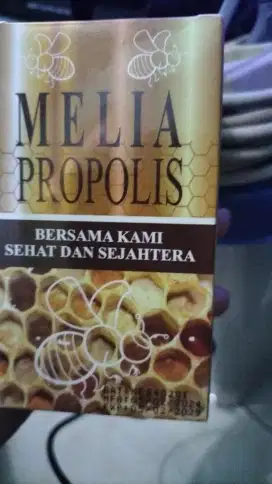 Melia propolis 55 ml