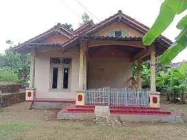 Rumah nyaman disewakan