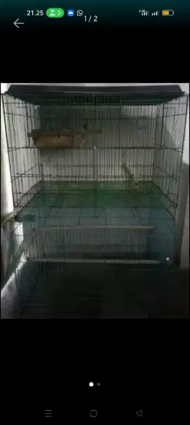 Sangkar besi burung