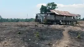 Tanah Siap Bangun Di Borong Sapiri Bontomanai Gowa