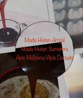 Madu Murni Asli 100% Tanpa Campuran