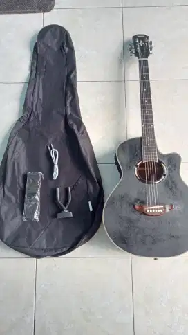 Gitar akustik & elektrik apx custom full set