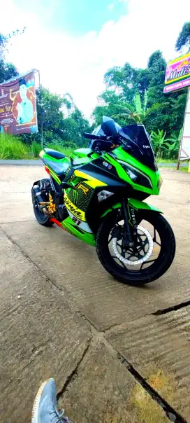 Kawasaki Ninja 250 f1