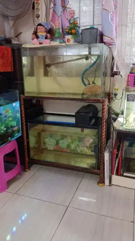 Set Aquarium dan Ikan hias