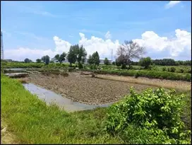 10.1212.29 Lelang Tanah Raya Manyar Gresik Di Betoyoguci Manyar