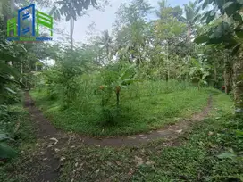 Tanah murah cocok untuk perkebunan atau ternak di ampel boyolali