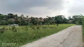 SAWAH PRODUKTIF  UNTUK VILA  UNTUK INVES. DI PUSAT KOTA PURWAKARTA