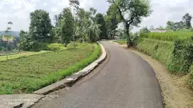 SAWAH, TANAH DARAT DAN KOLAM IKAN KECIL