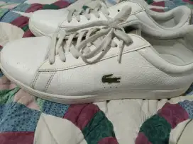 Sepatu LACOSTE CARNABY EVO 220